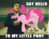 little pony.jpg
