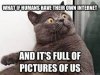 What if humans have their own internet and it's full of pictures of us -  conspiracy cat - quickmeme
