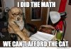 financial-dog-meme.jpg