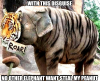 elephant-disguise_o_842689.png