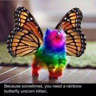 Rainbow Tamer