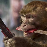 monkey with a knife