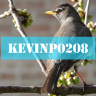 KevinP0208
